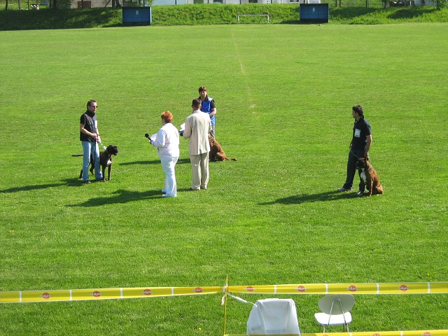 www.atibox.net * www.euroboxer.eu * www.boxergenealogia.eu
